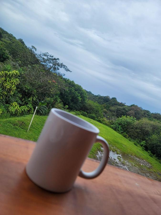Cabinas Selva Verde Monteverde Екстериор снимка